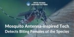 Mosquito-Antenna-inspired-Tech-Detects-Biting-Females-of-the-Species-.jpg:cts:1:162