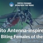 Mosquito-Antenna-inspired-Tech-Detects-Biting-Females-of-the-Species-.jpg