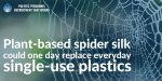 Plant-based-spider-silk-could-one-day-replace-everyday-single-use-plastics.jpeg:cts:1:212